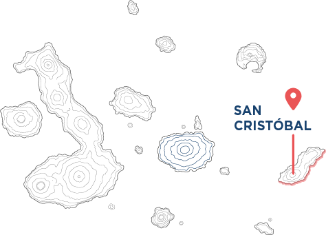 Logo de Genovesa Expeditions