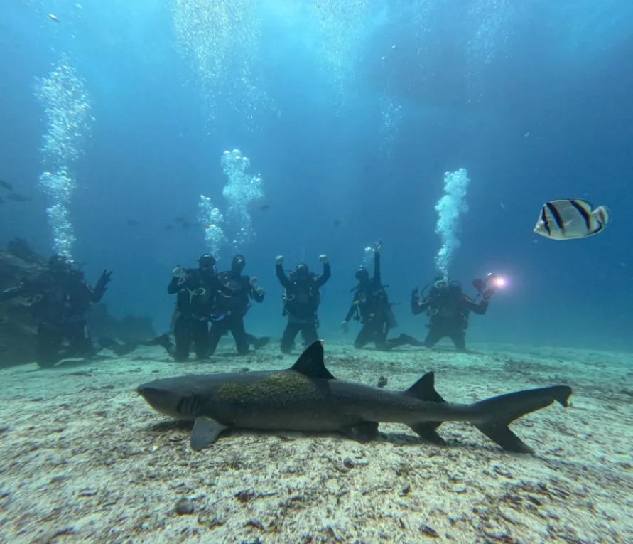 Buceo en las Islas Galápagos